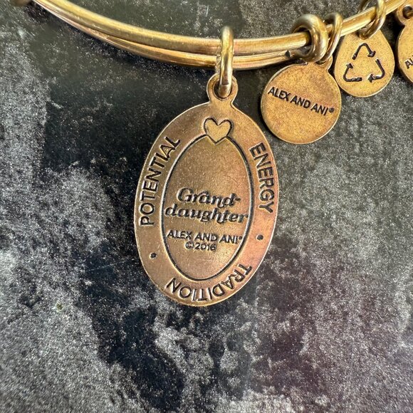 Alex and Ani Granddaughter Charm Bangle Gold Tone 2016 Keepsake Bracelet - Picture 8 of 12